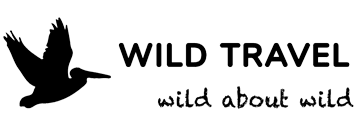 Wild travel logo