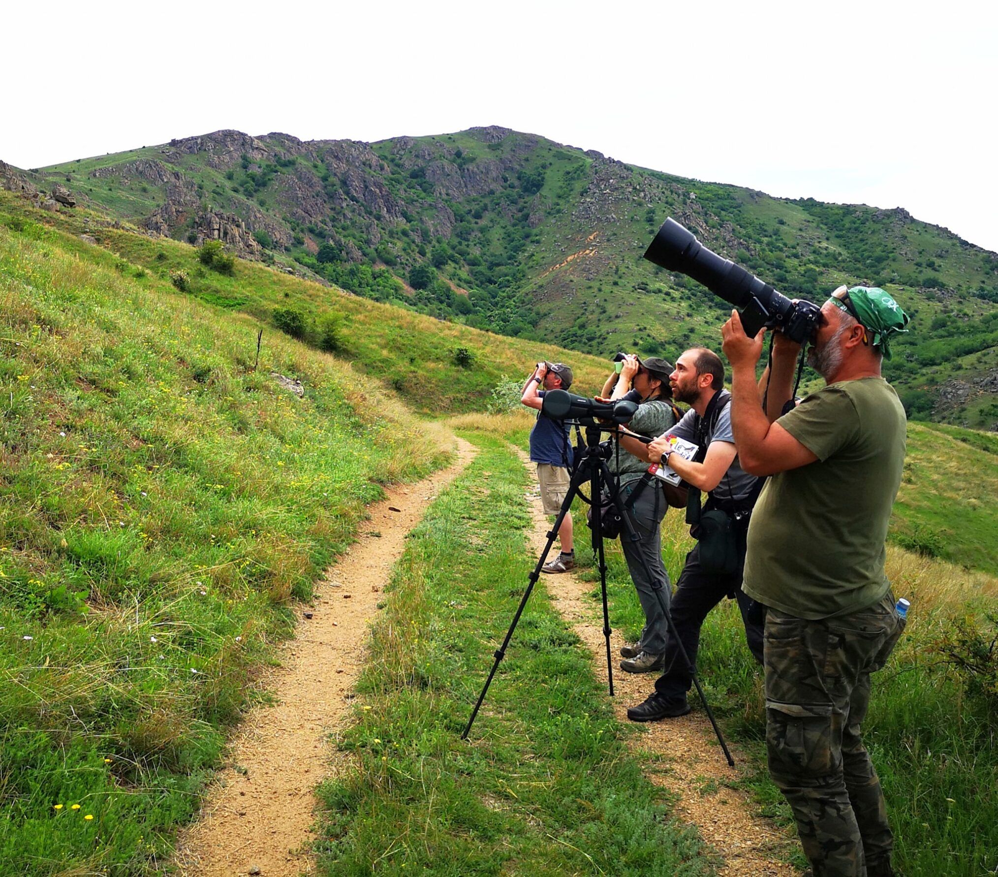 Presentation de WILD TRAVEL TOURS - Voyage sauvage dans le delta du Danube