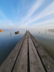 About the Danube Delta
