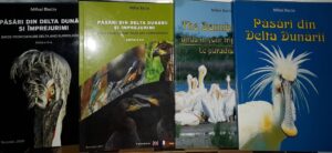 6 - 13 june 2027 Birdwatching and photonature trip in Danube Delta - Romania