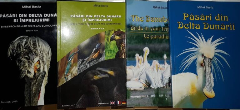 6 - 13 mai 2027 Voyagge ornithologique et photo nature dans Delta du Danube - Roumanie